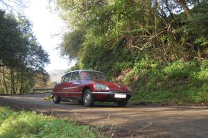Rally de Enero 2024 - 004 - Asturias - Rally Regulariidad